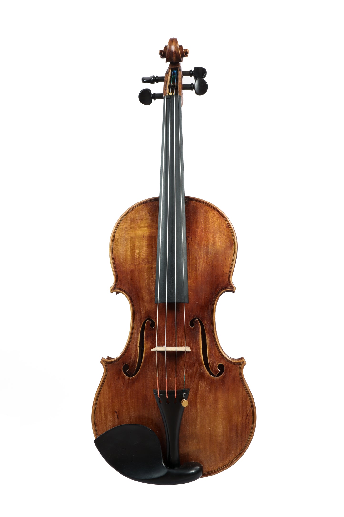 VIOLIN by Gazzini Workshop - EXPLORER series