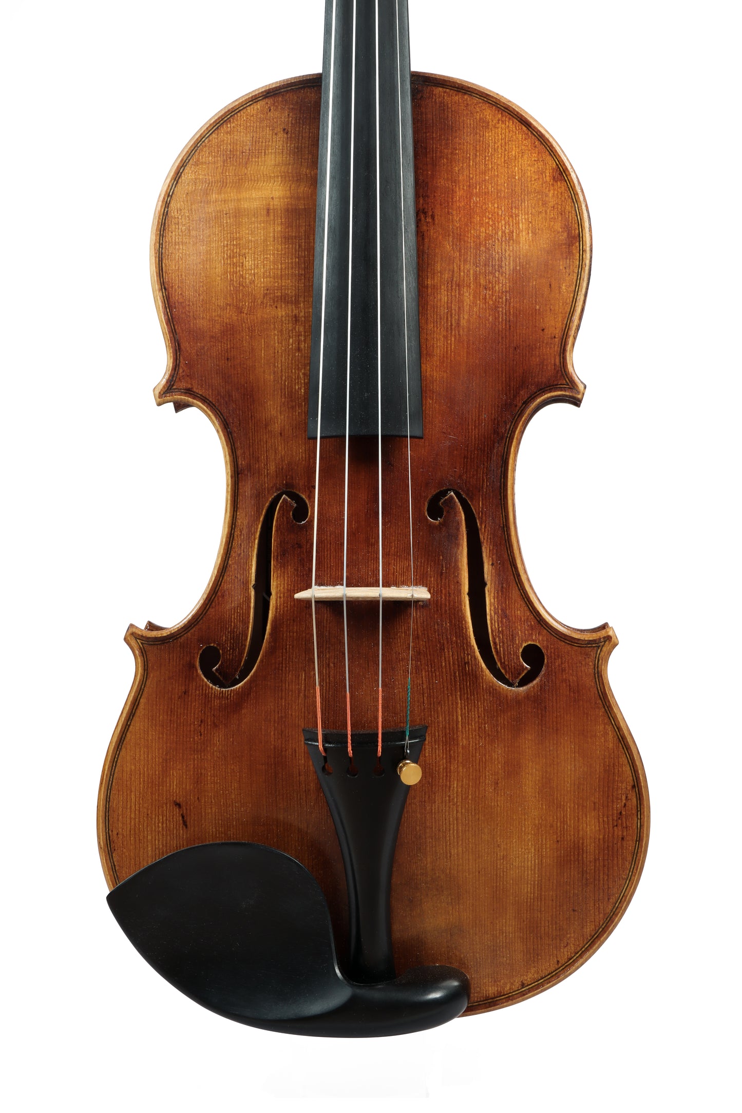 VIOLIN by Gazzini Workshop - EXPLORER series