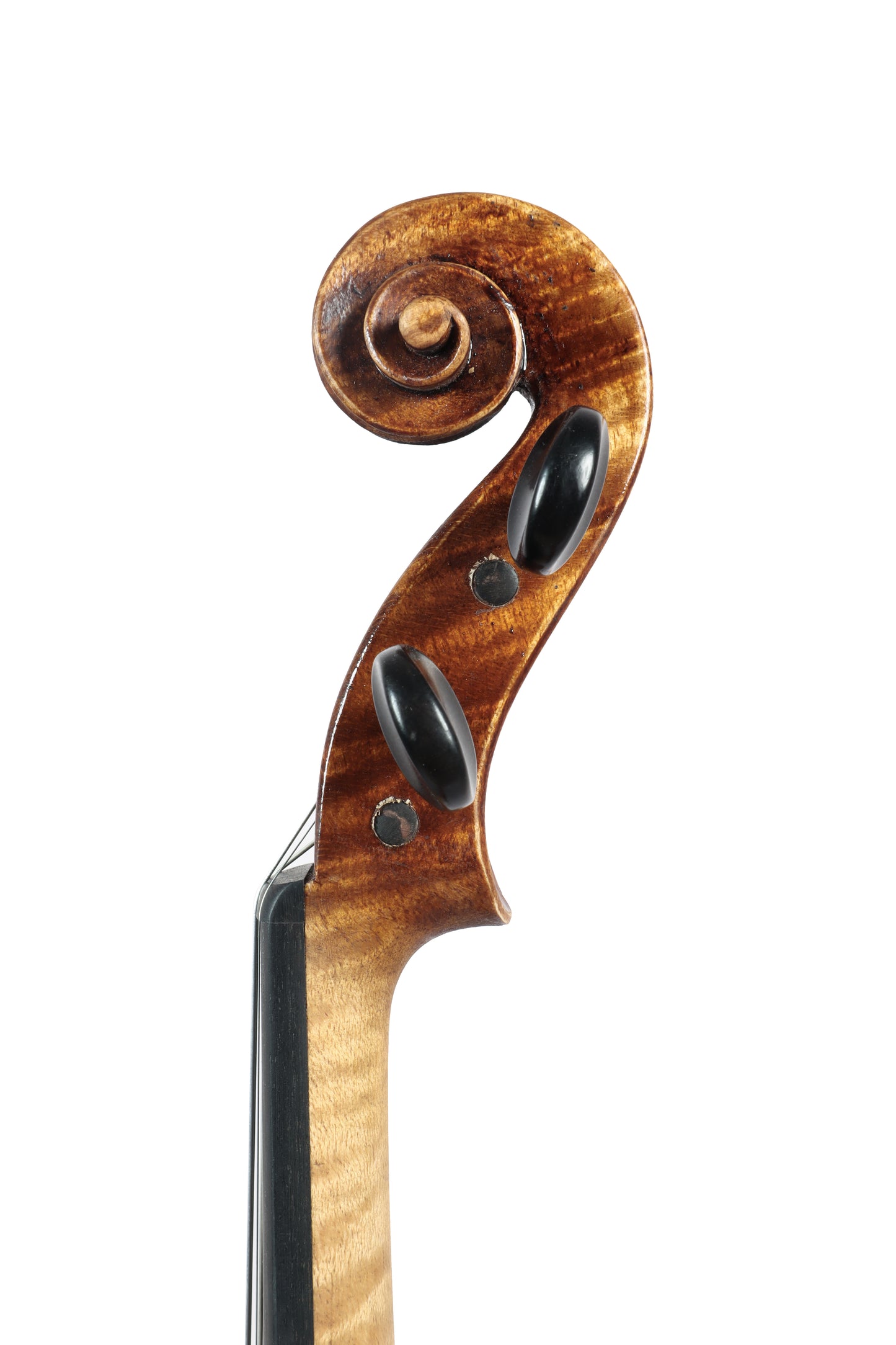 VIOLIN by Gazzini Workshop - EXPLORER series