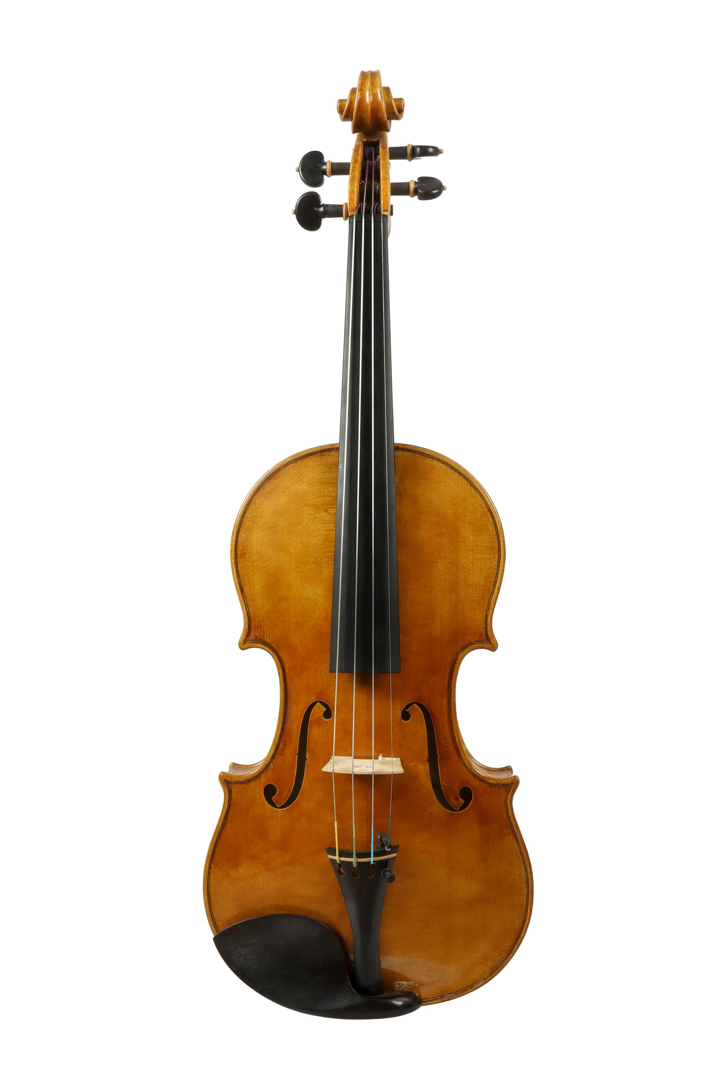 VIOLIN by Gazzini Workshop - VIRTUOSO series