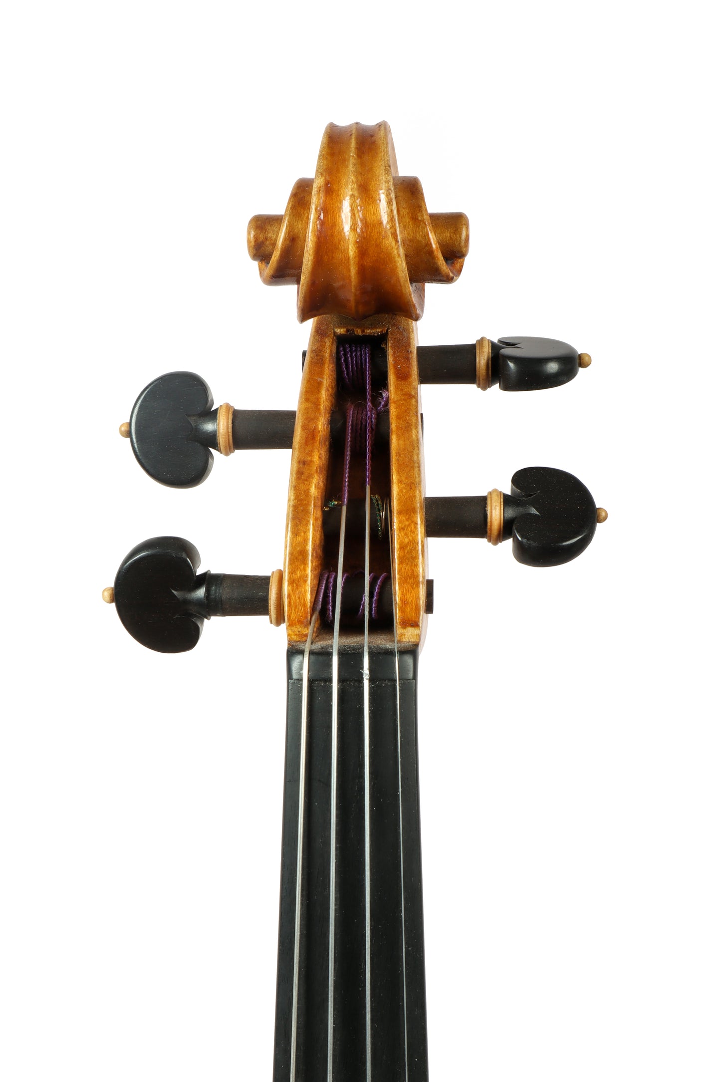 VIOLIN by Gazzini Workshop - VIRTUOSO series
