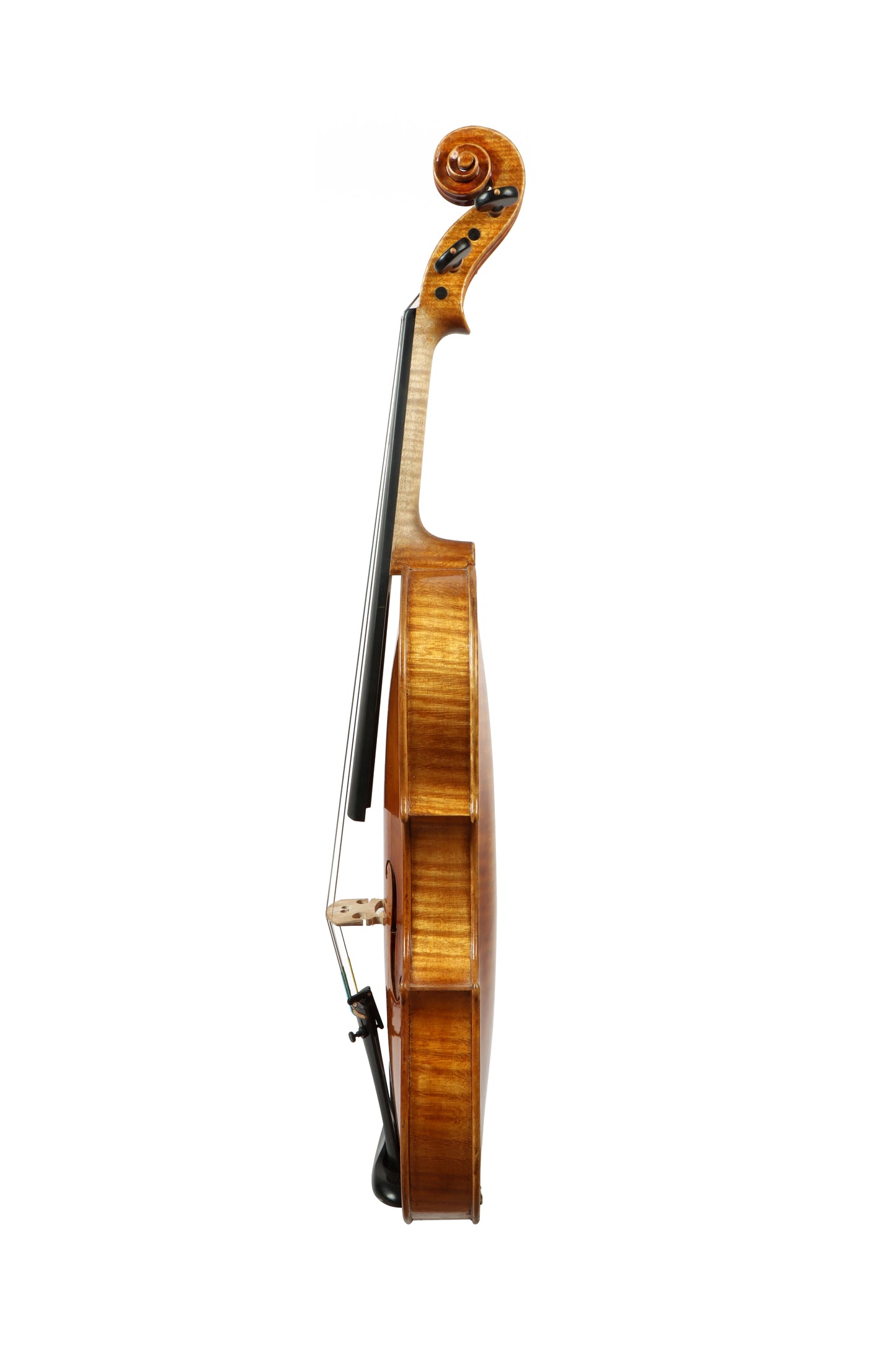 VIOLIN by Gazzini Workshop - VIRTUOSO series