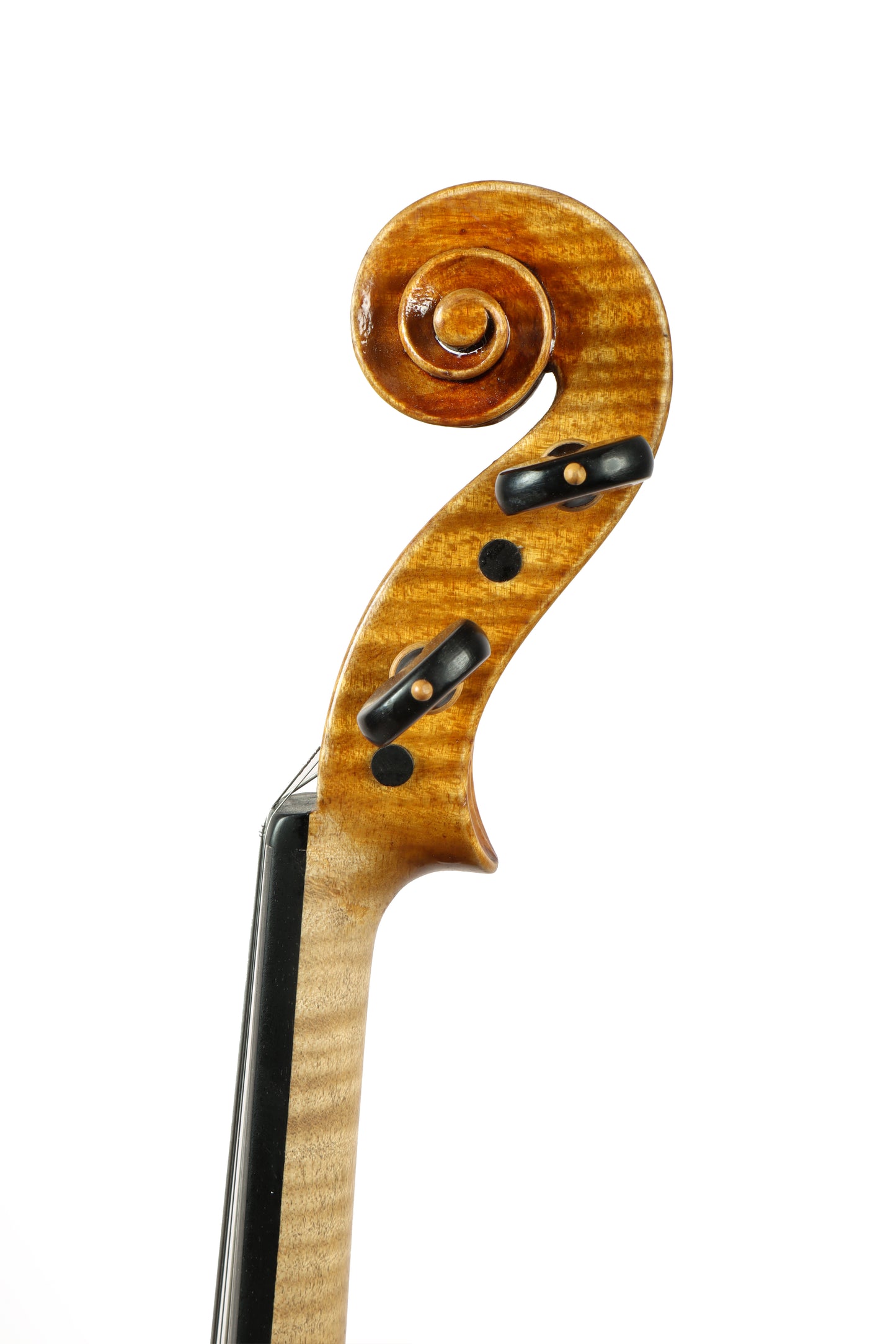 VIOLIN by Gazzini Workshop - VIRTUOSO series